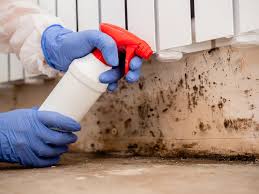 Forensic Mold Investigation in Ogdensburg, NJ